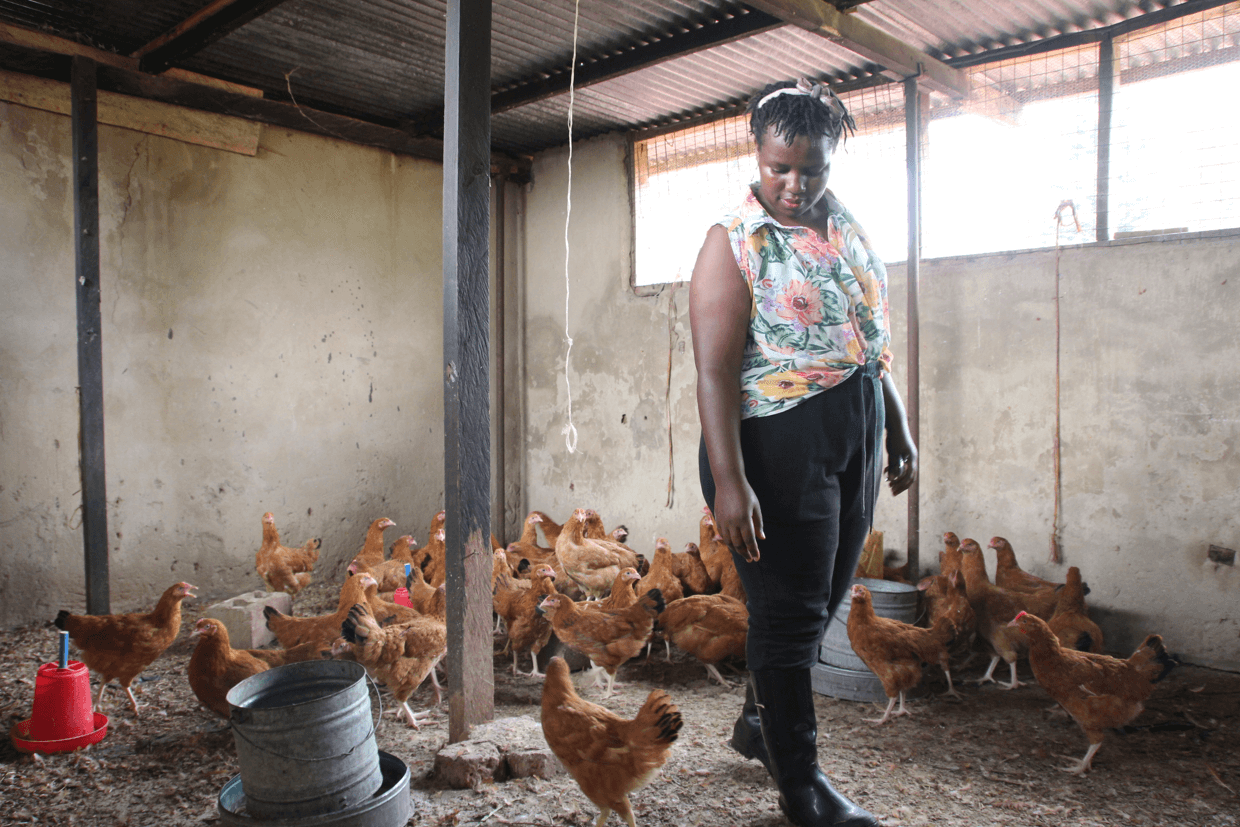 YWAM Hopeland Farm with Chickens